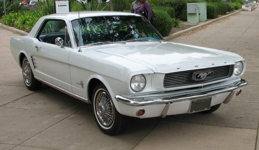 atrakcje - samochód 2